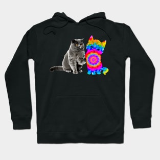 tie dye  pattern cat :different friends colorful Hoodie